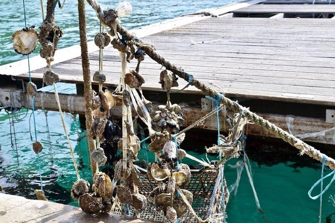 Private Tour Experience Dubrovnik North-West Countryside & Riviera - Tour Highlights