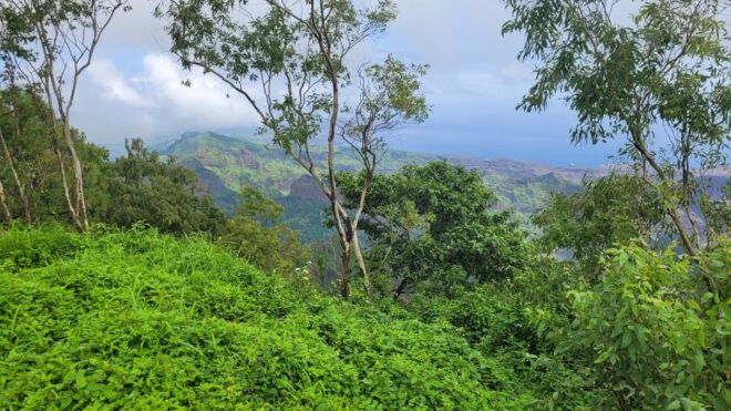 Private Tour: Explore Santiago Island - Cancellation Policy