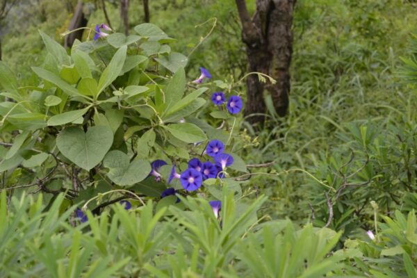 Private Tour: Explore Santiago Island - Customer Reviews