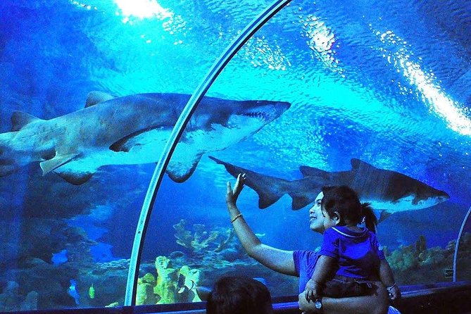 Private Tour : Explore The Best of Animal Attractions in Kuala Lumpur - Price and Booking