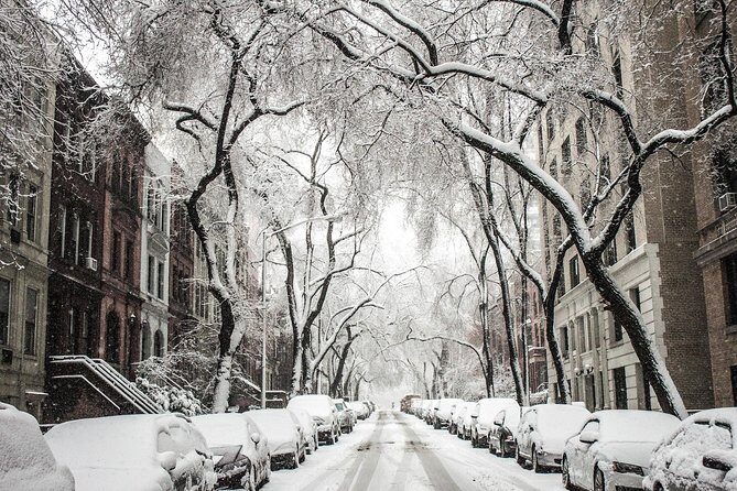 Private Tour: Explore the festivities in Dyker Heights, Brooklyn - FAQs