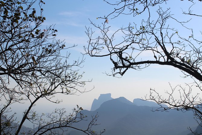 Private Tour - Explore Tijuca Forest & Christ the Reedemer by Carioca Experience - Tour Inclusions