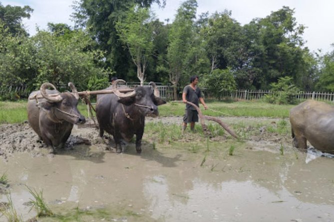 Private Tour: Fascinating Ayutthaya & Suphanburi Full Day Tour - Historical Sites Visited