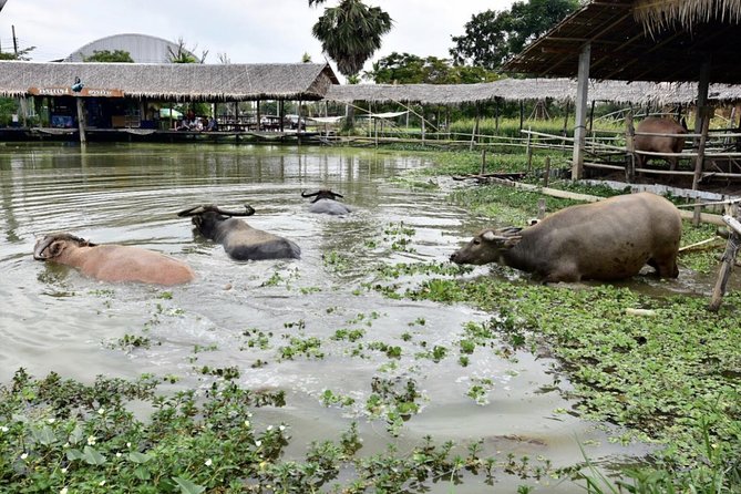 Private Tour: Fascinating Ayutthaya & Suphanburi Full Day Tour - Local Experiences Included
