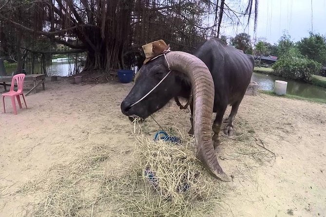 Private Tour: Fascinating Ayutthaya & Suphanburi Full Day Tour - Common Questions