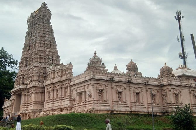 Private Tour Fireflies, Eagles and Monkey - Who Will Love This Tour?