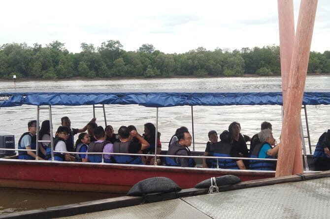 Private Tour Fireflies, Eagles and Monkey - The Practicalities and What to Expect