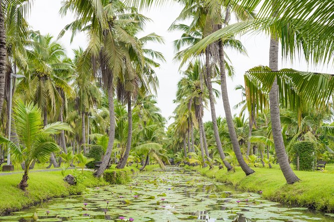 Private Tour: Floating Markets and Suan Sampran Day Trip From Bangkok - The Sum Up