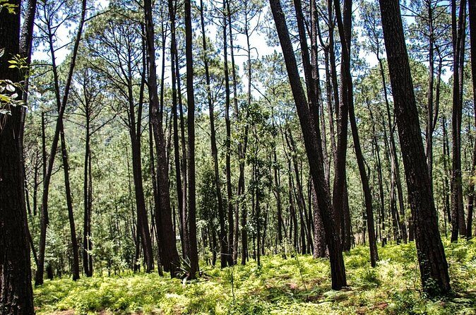 Private Tour for a Day of Adventure in Mazamitla Pueblo Mágico - FAQ