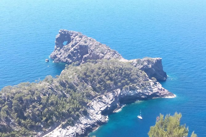 Private Tour for My Family From a Cruise - Tour Details and Inclusions