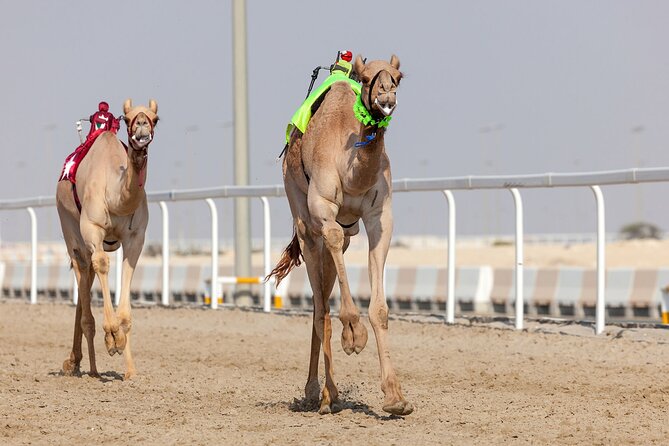 Private Tour for Western Wonders in Qatar West Coast - The Sum Up