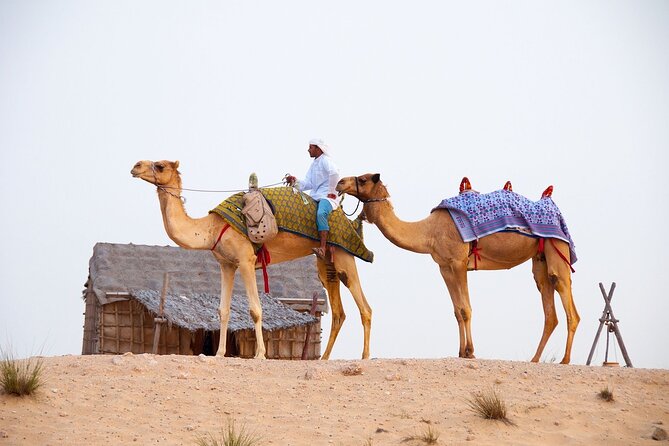 Private Tour From Abu Dhabi to Dubai With a 6 Hour Stop - Exclusive Transfers and Day Trip Tours