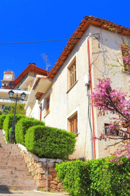 Private Tour From Athens to Delphi - Pricing Details