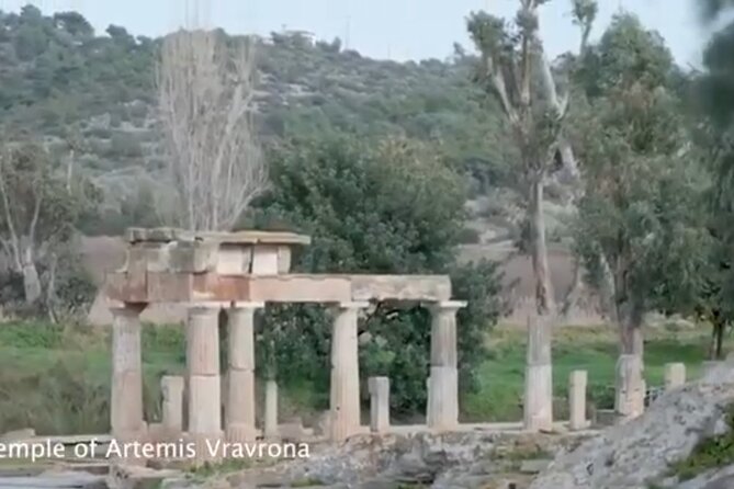 Private Tour From Athens to Marathon - Review Count and Overall Rating