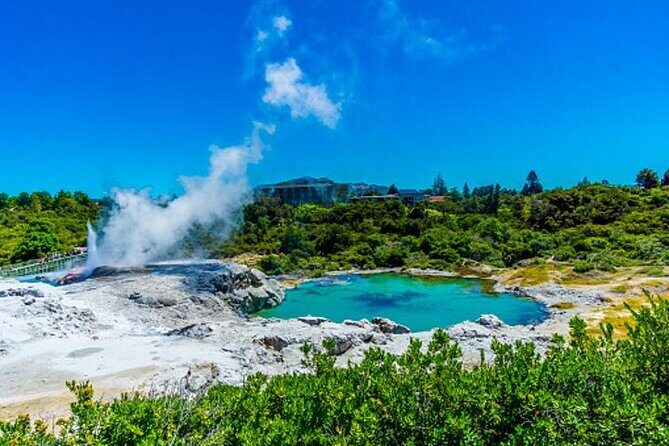 Private Tour from Auckland Hobbiton Rotorua and Wai-O-Tapu - Who Should Consider This Tour?