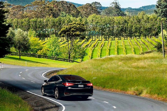Private Tour From Auckland to Rotorua & Waitomo Glowworm Caves, Small Group - Customer Reviews
