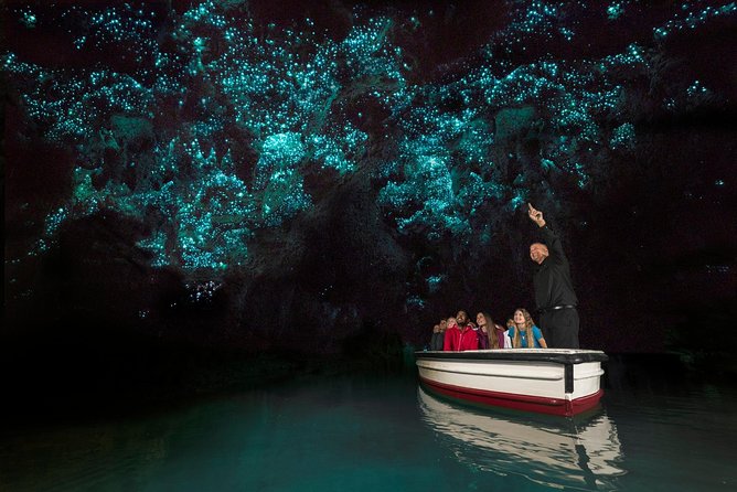 Private Tour From Auckland - Waitomo Glowworm Caves, Zealong Tea & Kiwi Bird - Reviews