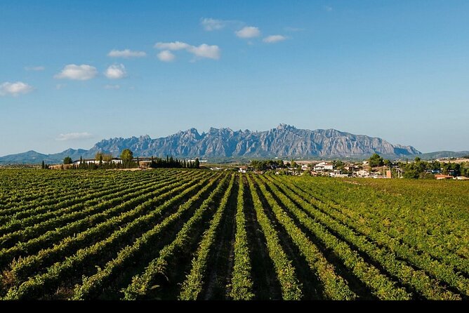 Private Tour From Barcelona to Costa Brava - Directions