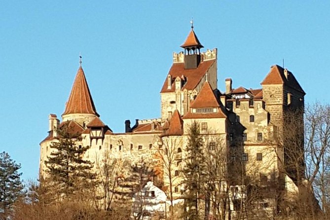 Private Tour From Brasov: Peles Castle, Bran Dracula Castle and Rasnov Fortress - Tour Highlights