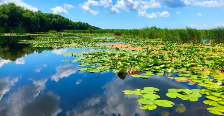 Private Tour From Bucharest to Danube Delta 2 Days Tour - Key Points