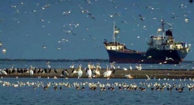 Private Tour From Bucharest to Danube Delta 2 Days Tour - Pricing and Booking Information