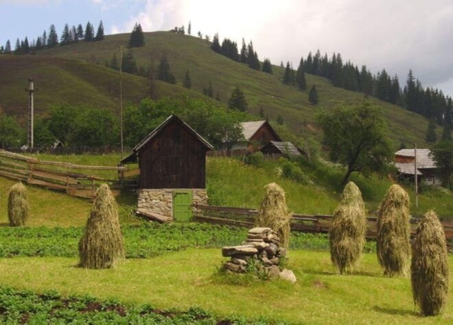 Private Tour From Bucharest to UNESCO Monasteries, Moldavia - Detailed Itinerary