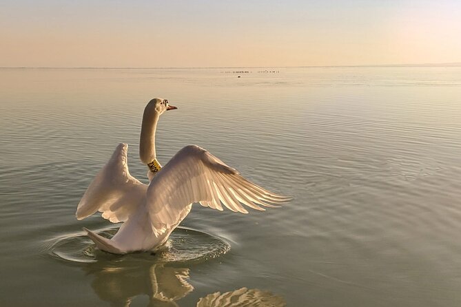 Private Tour From Budapest to a Top Hidden Treasure Region of Europe: Lake Balaton - Additional Information