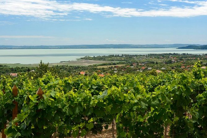Private Tour From Budapest to a Top Hidden Treasure Region of Europe: Lake Balaton - Cancellation Policy
