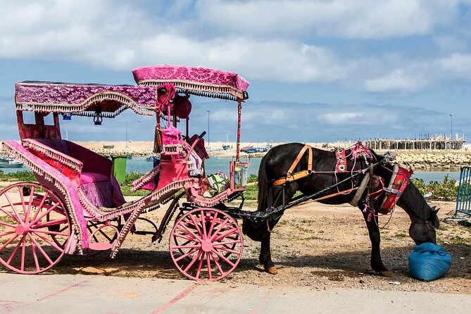Private Tour From Cadiz to Tangier & Asilah With Pick up and Drop off - Tour Itinerary: Tangier Exploration