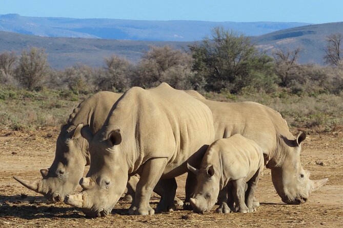 Private Tour From Cape Town - Overview and Booking Information