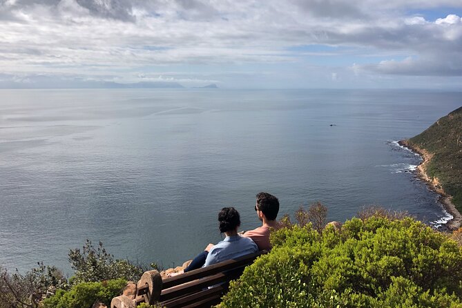 Private Tour From Cape Town - Additional Positive Reviews on Tripadvisor