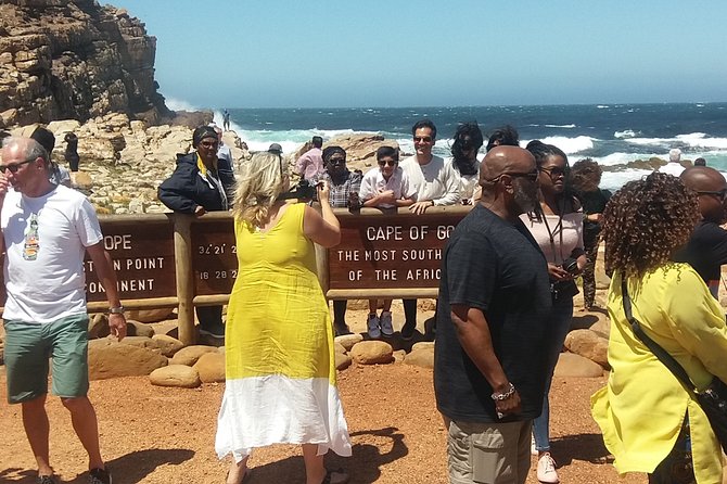 Private Tour From Cape Town to Cape of Good Hope Penguins Plus Wine Tasting F/D - Reviews and Ratings