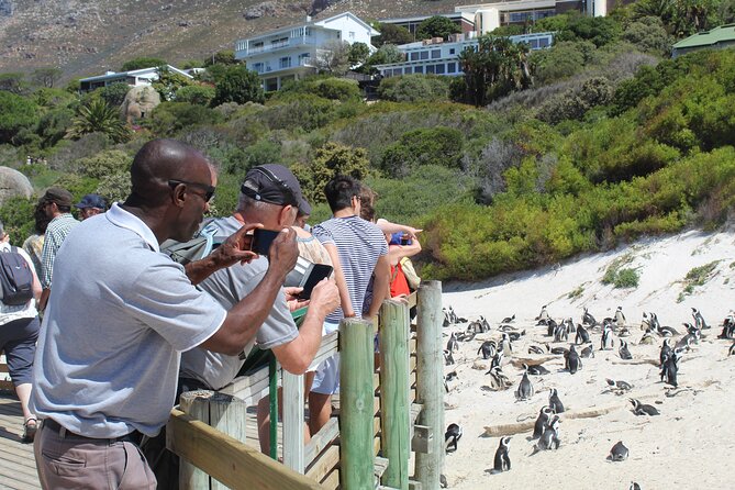 Private Tour From Cape Town to Cape of Good Hope Penguins Plus Wine Tasting F/D - Directions and Tour Details