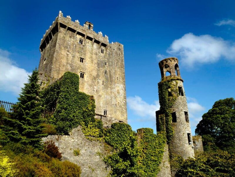 Private Tour from Dublin to Blarney Castle & Rock of Cashel - Who Will Love This Tour?