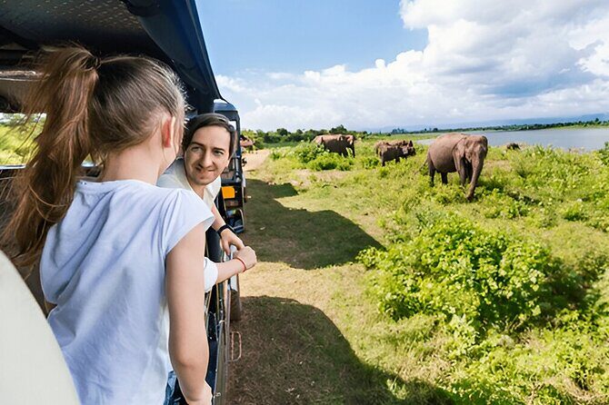 Private Tour from Ella to Mirissa with Udawalawe Safari - Timing and Practical Considerations
