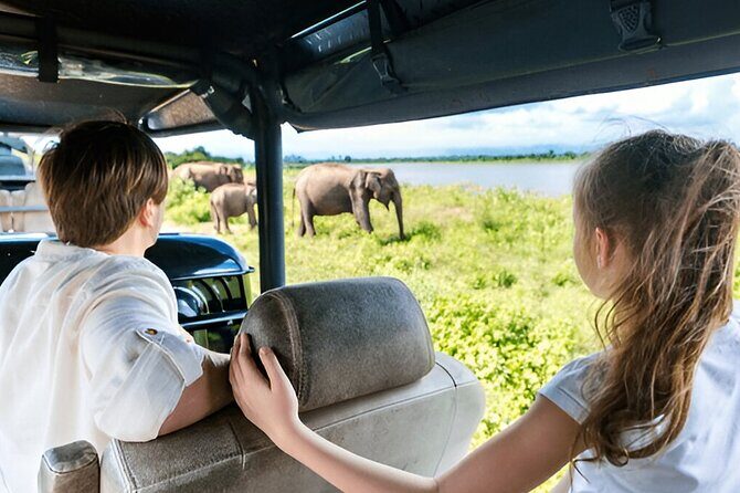 Private Tour from Ella to Mirissa with Udawalawe Safari - The Sum Up