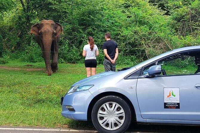 Private Tour from Ella to Tangalle with Udawalawe Safari - The Sum Up: Is It Worth It?