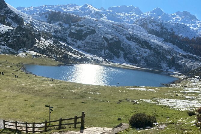 Private Tour From From Oviedo to Lakes, Covadonga and More - Traveler Reviews and Recommendations