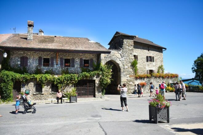 Private Tour From Geneva to the French Riviera - Negative Review and Recommendations
