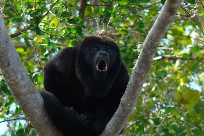 Private Tour From Guayaquil to Churute Ecological Reserve - Tour Overview