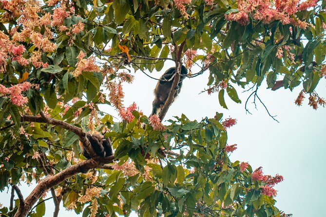 Private Tour From Guayaquil to Churute Ecological Reserve - Itinerary Highlights