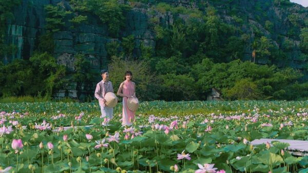 Private Tour From Ha Noi - Trang an Boat - Mua Cave - Biking - Notes on Itinerary Changes