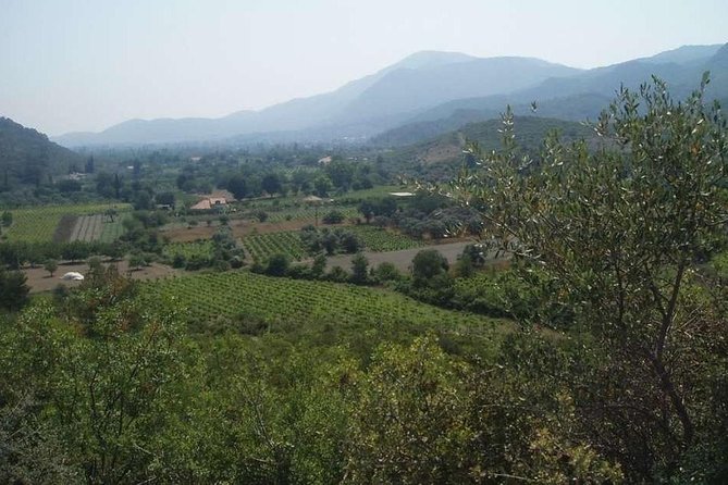 Private Tour From Kusadasi Port to Ephesus and Kirazli Village - Itinerary Highlights