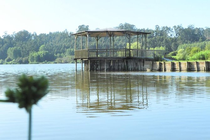 Private Tour From Lisbon to Agueda the Art Umbrellas Festival City and Much More With Lunch - Cancellation Policy Details