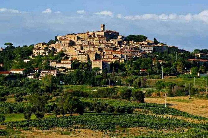 Private Tour From Livorno Port: the Etruscan Coast & Wine - Additional Information