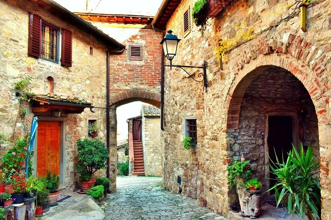 Private Tour From Livorno Port to Chianti Wine Region - Winery Visits and Tastings