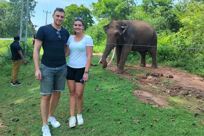 Private Tour from Mirissa to Ella with Udawalawe Safari - Who Would Love This Tour?