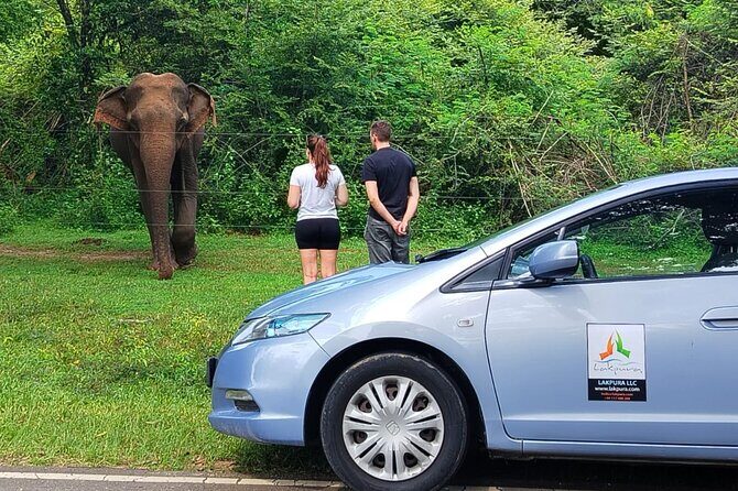 Private Tour from Mirissa to Ella with Udawalawe Safari - FAQs