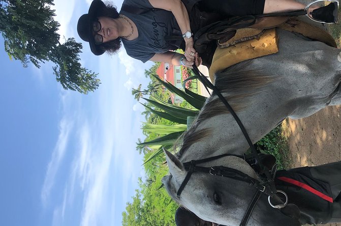 Private Tour From Montego Bay to Ocho Rios Horse Back Riding & Blue Hole Falls - Traveler Photos and Reviews