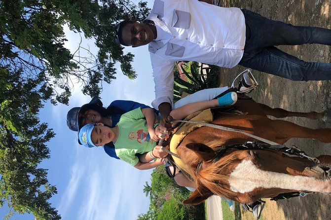 Private Tour From Montego Bay to Ocho Rios Horse Back Riding & Blue Hole Falls - The Sum Up